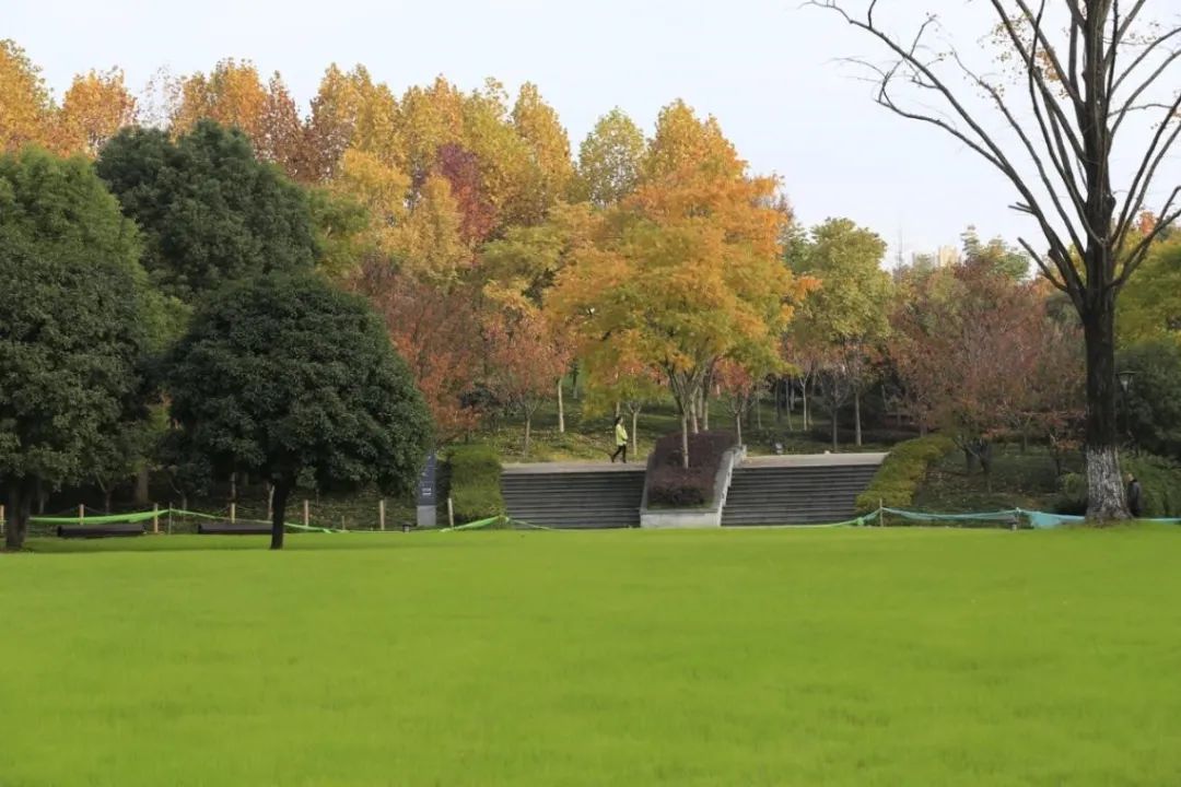 武汉王家墩公园智能导览制作公司.jpg