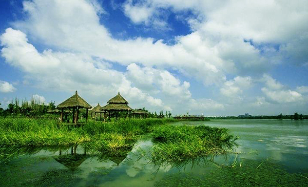 武汉市沉湖湿地公园电子导览.jpeg