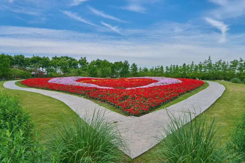 花乡公园智能电子导览上线了解花乡的独特魅力.png