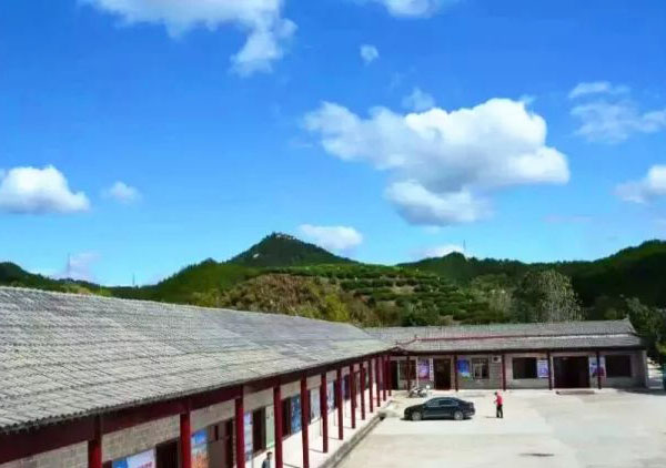乌云山茶叶公园智慧导览小程序制作.jpg