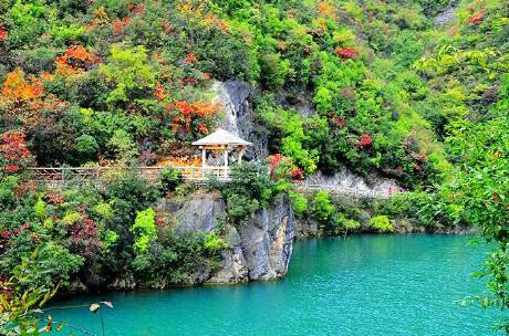 湖北省五龙河景区智慧导览小程序.jpeg