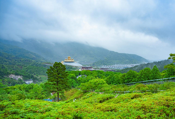 溪口杜鹃谷森林公园快乐苑景区系统功能.png