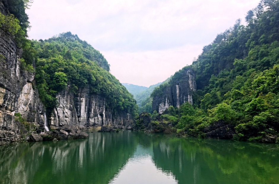 1684386408290529.png 景区年卡.png