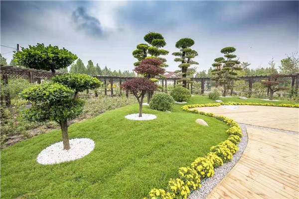 1685347103675666.jpg 新媒体平台售票系统提升景区品牌影响力.jpg