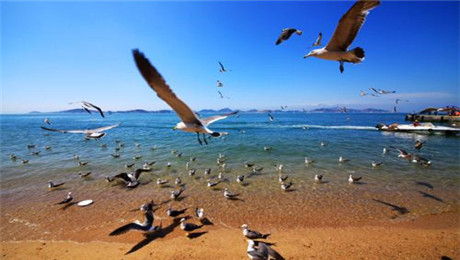 旅游景区门票系统微信小程序私域流量营销策略.jpg