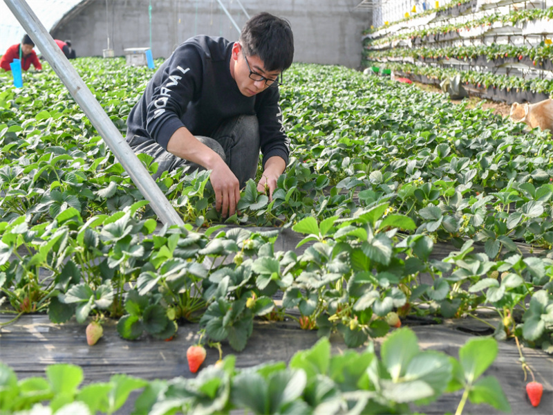 霸州鑫地美老闸机成功改造重新运用的方案
