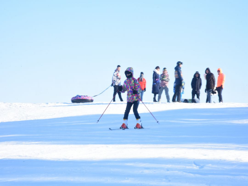 黑龙江黑河亿龙滑雪场票务系统公司.png
