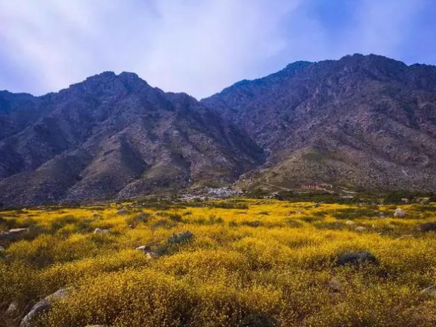 宁夏银川贺兰山大峡谷旅游景区电子票分销系统多少钱.png