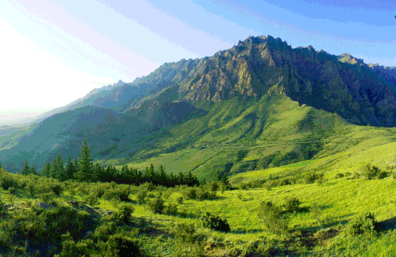 宁夏银川贺兰山大峡谷旅游景区对接ota多少钱.png