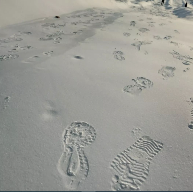 河北保定天阔滑雪场对接ota方案.png