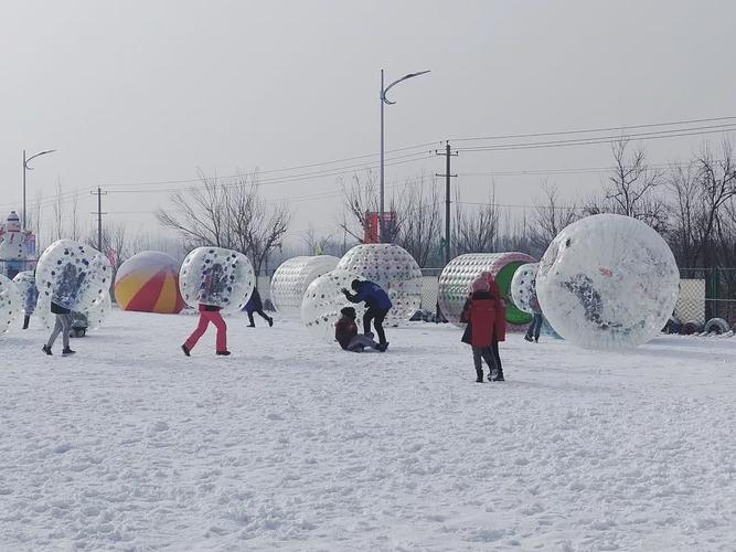 北京国际鲜花港冰雪嘉年华押金管理系统多少钱.jpeg