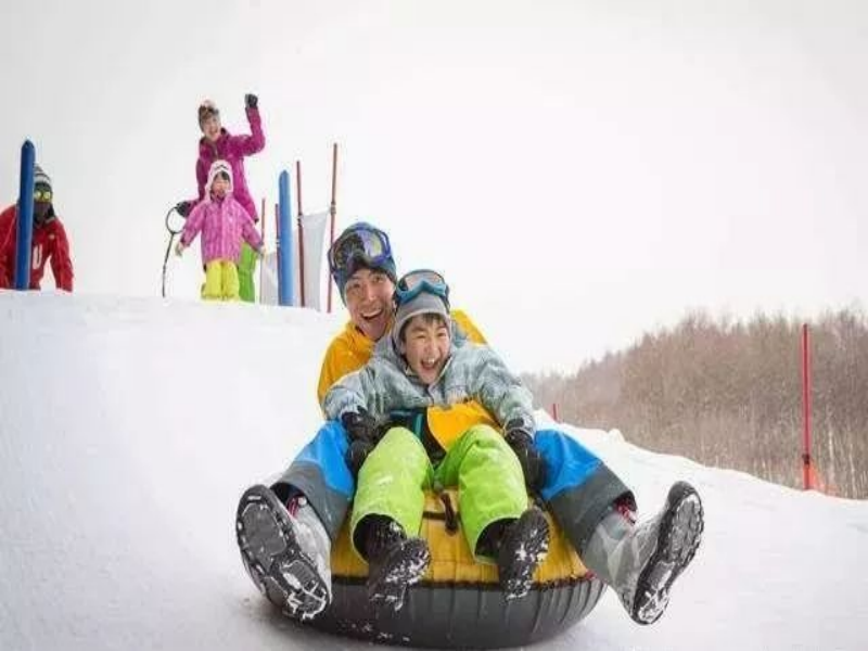 河北廊坊新绎农场冰雪乐园一卡通系统公司.png