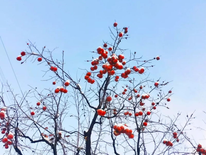 河北秦皇岛山海国际冰雪大世界押金系统多少钱.png