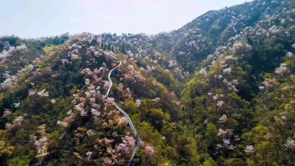 湖南百花寨景区票务管理系统哪家公司提供的.jpg