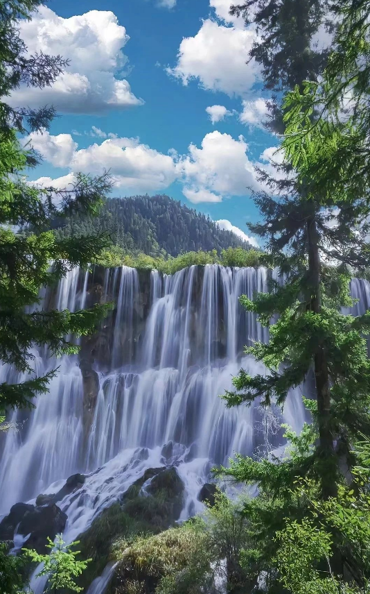 四川省阿坝藏族羌族自治州九寨沟旅游景区大峡谷综合管理系统多少钱.png