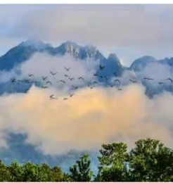 安徽黄山风景区综合管理系统多少钱.png