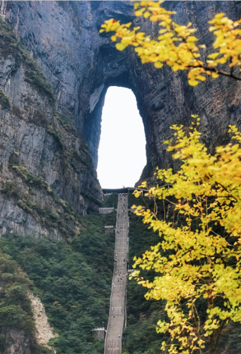 湖南张家界天门山综合票务管理系统的功能.png