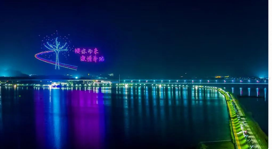 江西省九江市赛城湖景区智能票务管理系统的功能.png