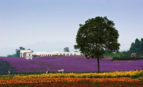 四川成都紫颐香薰山谷景区智慧景区小程序多少钱.png