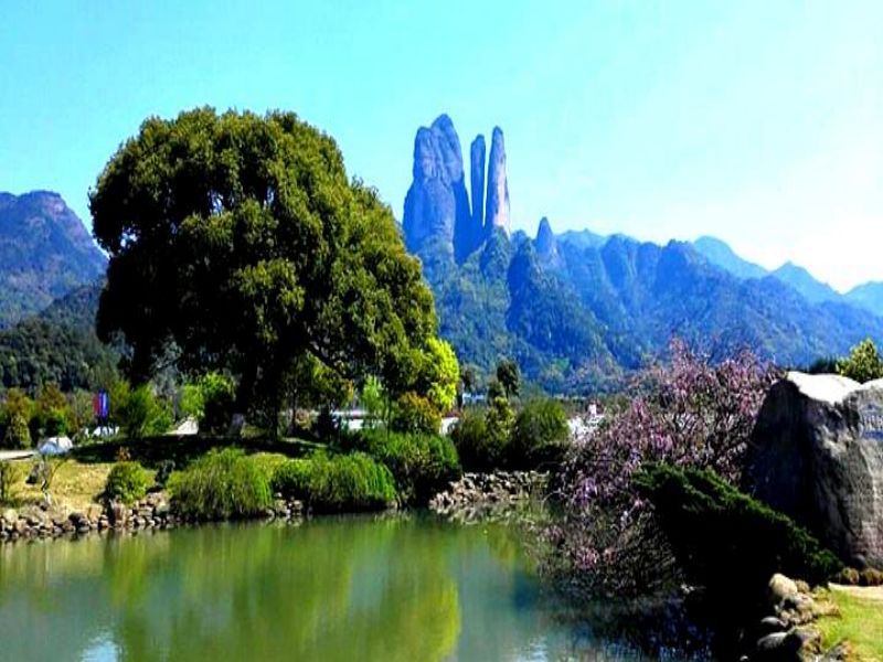 浙江江郎山景区多业态管理系统公司.jpg
