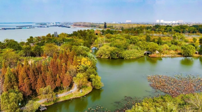 江苏扬州凤凰岛湿地公园游船押金系统价格.png