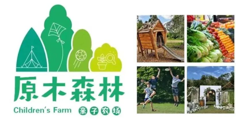 河北保定原木森林亲子农场游乐园票务系统闸机升级改造功能.png