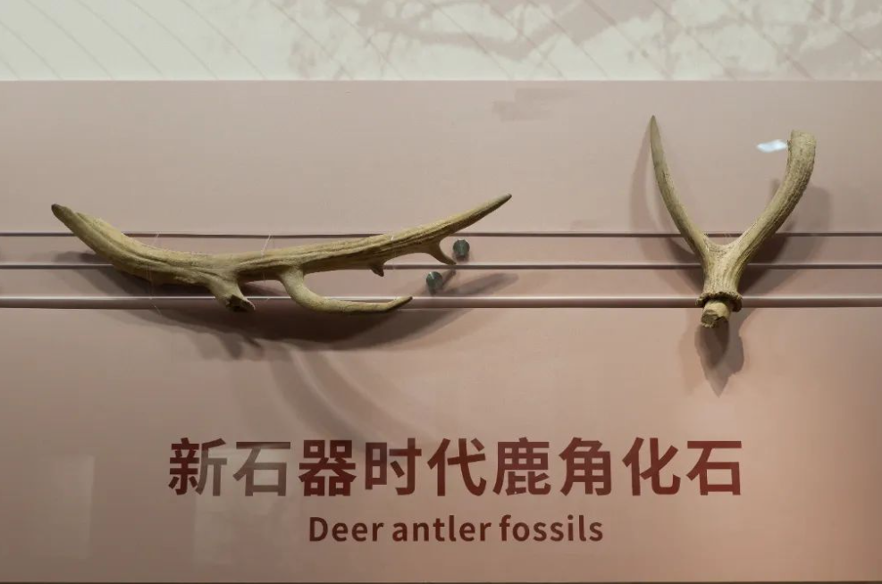 江苏淮安市博物馆在线预约票务系统价格.png