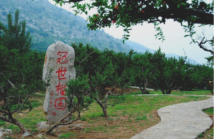 山东省枣庄市石榴博览园售票管理系统功能1.png