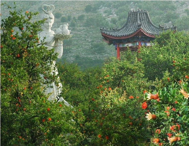 山东省枣庄市石榴博览园售票管理系统千亿国际的解决方案1.png