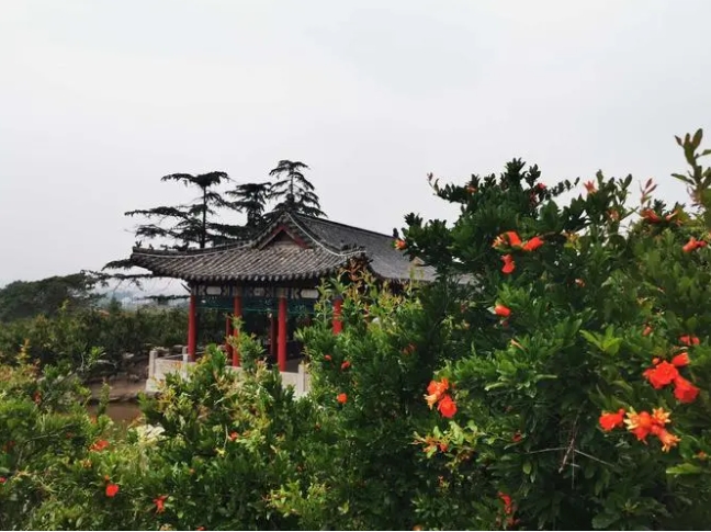 山东省枣庄市石榴博览园售票管理系统功能.png