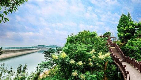 新开景区混乱票务管理系统解燃眉之急.png