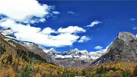 旅游景区管理系统防范票务欺诈和非法入园.png