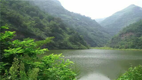、旅游景区票务系统saas软件建设.png