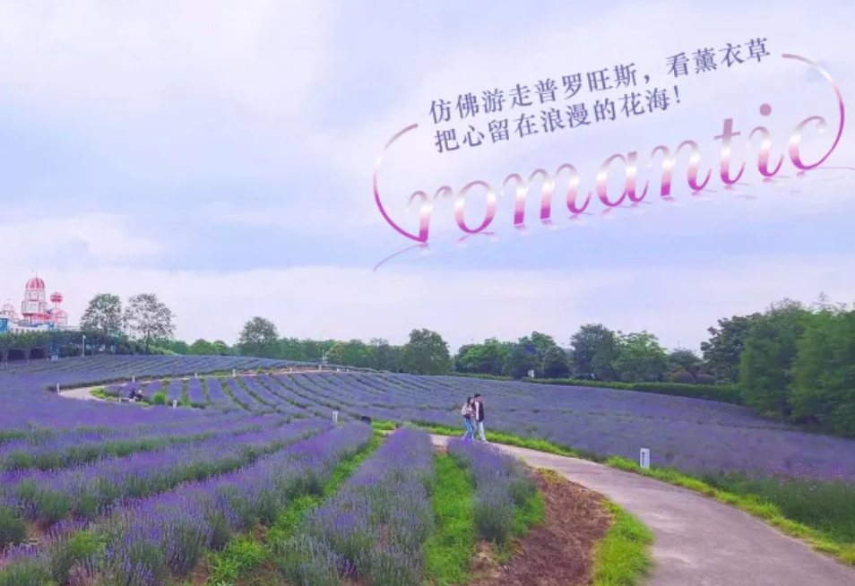 上海薰衣草公园票务管理系统方案.png