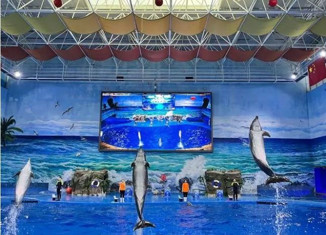 河南省漯河海洋馆门票管理系统千亿国际的解决方案.png