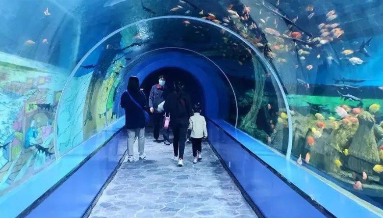 河南省许昌海洋馆ota对接管理系统千亿国际的解决方案.png