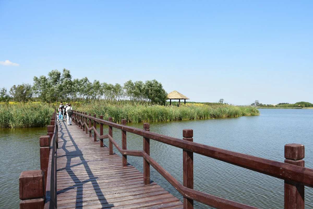 青海西宁郊野公园简介及需求.jpg