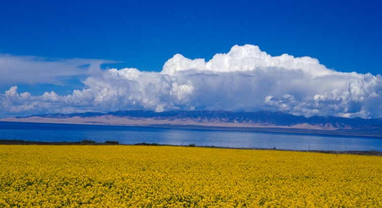 青海西宁市青海湖景区简介及需求.png