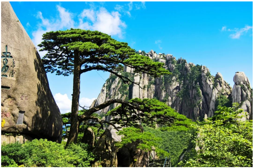 安徽黄山风景区综合管理系统痛点.png