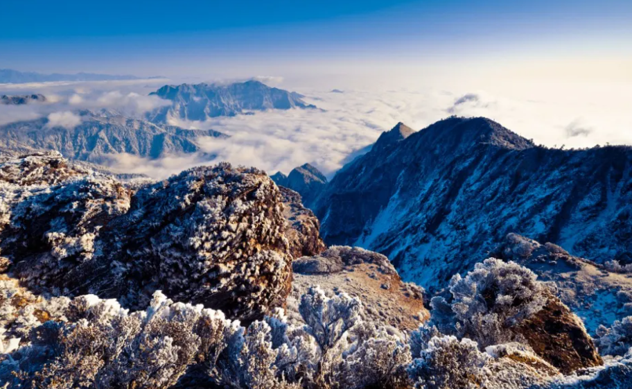 四川成都西岭雪山景区综合票管理系统公司.png