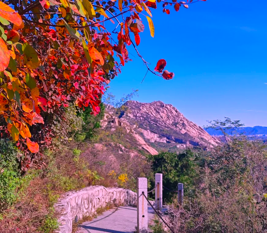 北京凤凰岭风景区票务系统功能.png