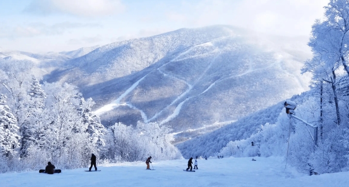 吉林北大湖滑雪场教练预约管理系统功能1.png