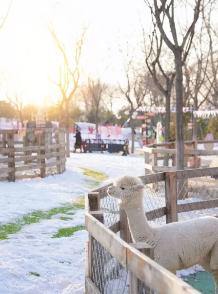 陕西省渭南市尧头窑冰雪世界滑雪场票务系统方案.png