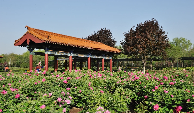 河南洛阳隋唐城遗址植物园票务多业态管理系统介绍1.png