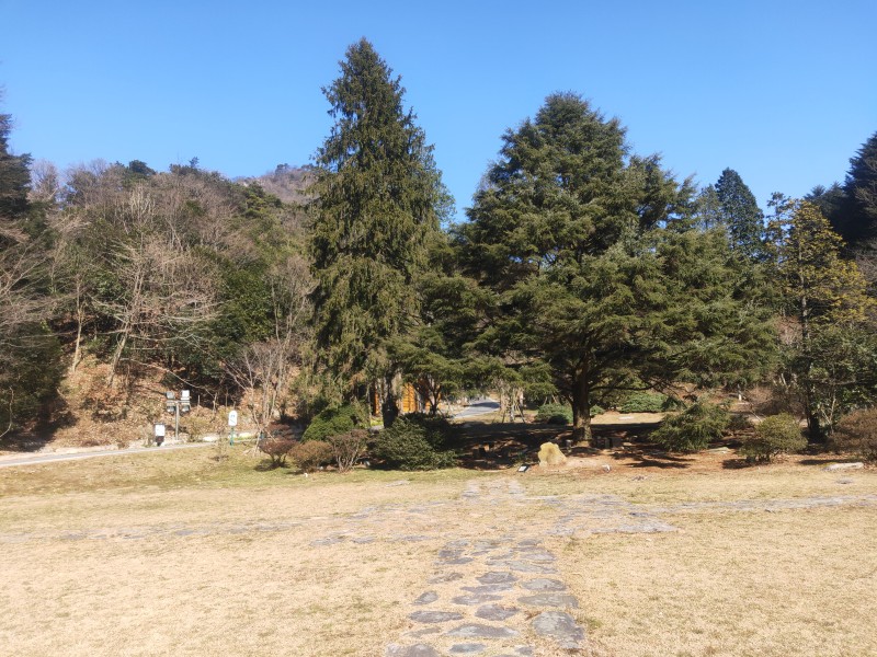 庐山植物园智能导览功能.jpg