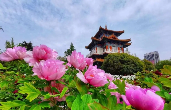 河南洛阳王城公园票务ota对接管理系统价格‌.png