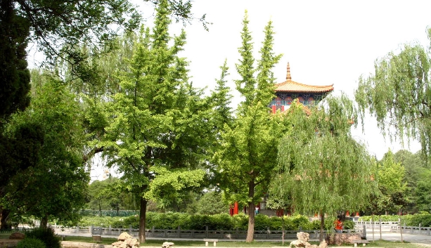 河南洛阳王城公园票务ota对接管理系统哪家公司强‌1.png