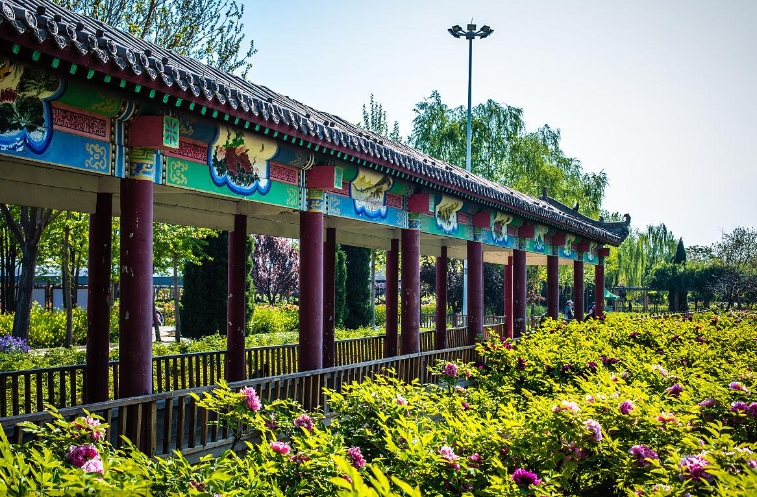 河北邢台市柏乡县汉牡丹园景区票务分销系统千亿国际的解决方案.png
