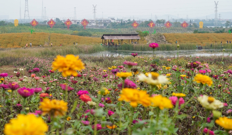 江苏南京市江宁谷里金陵国花园景区检票闸机系统 8 大功能.png