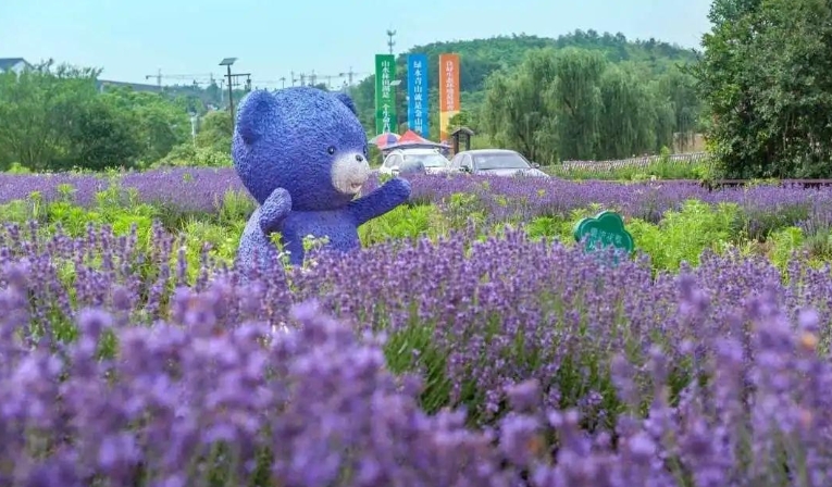 江苏南京市江宁谷里金陵国花园景区检票闸机系统介绍.png